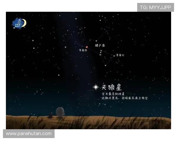 星空平台app助力你成为专业天文爱好者的途径