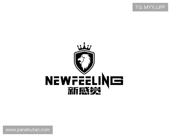 精细解析星空体育综合APP官网入口的特色功能与服务