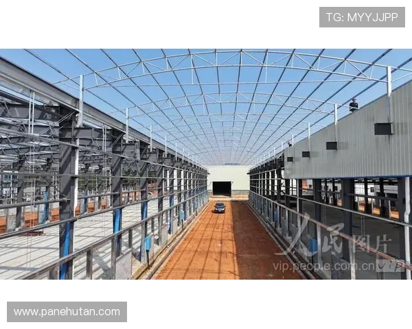 博鱼官网下载安装最新版本，掌握官方升级方法与更新内容介绍