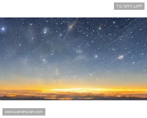 在星空旗舰厅体验精心布置的夜空场景,让每一次娱乐都成为难忘的星空之夜