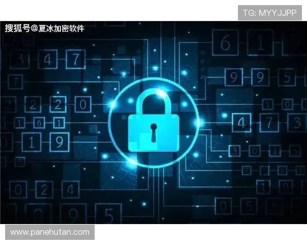 星空在线注册平台的安全保障措施与用户隐私保护策略介绍