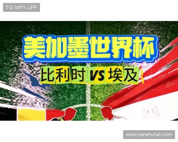 世界杯埃及vs比利时出线机会对比：两队晋级前景全面解析